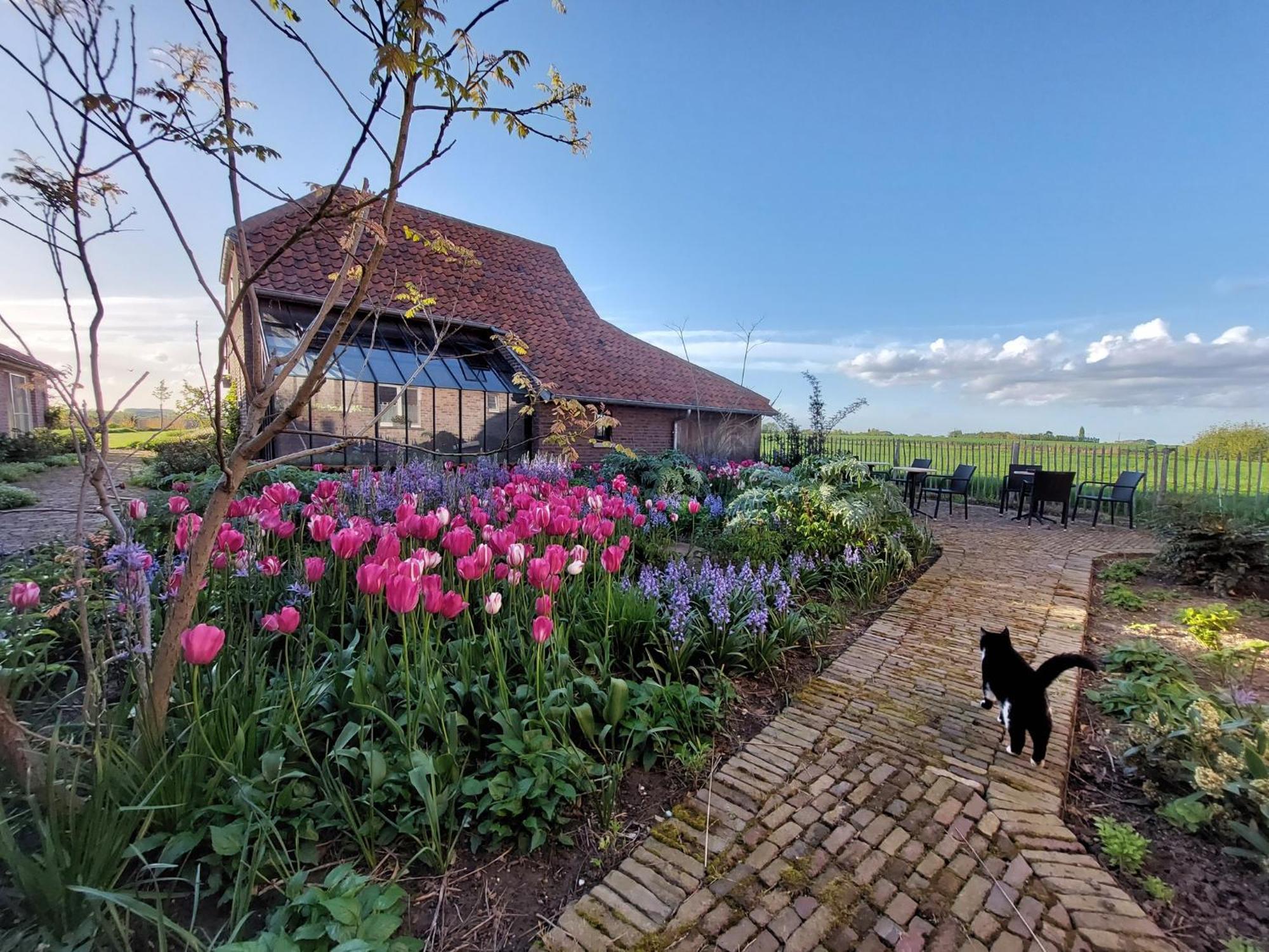B&B Stefans Pottery Poperinge Exterior foto