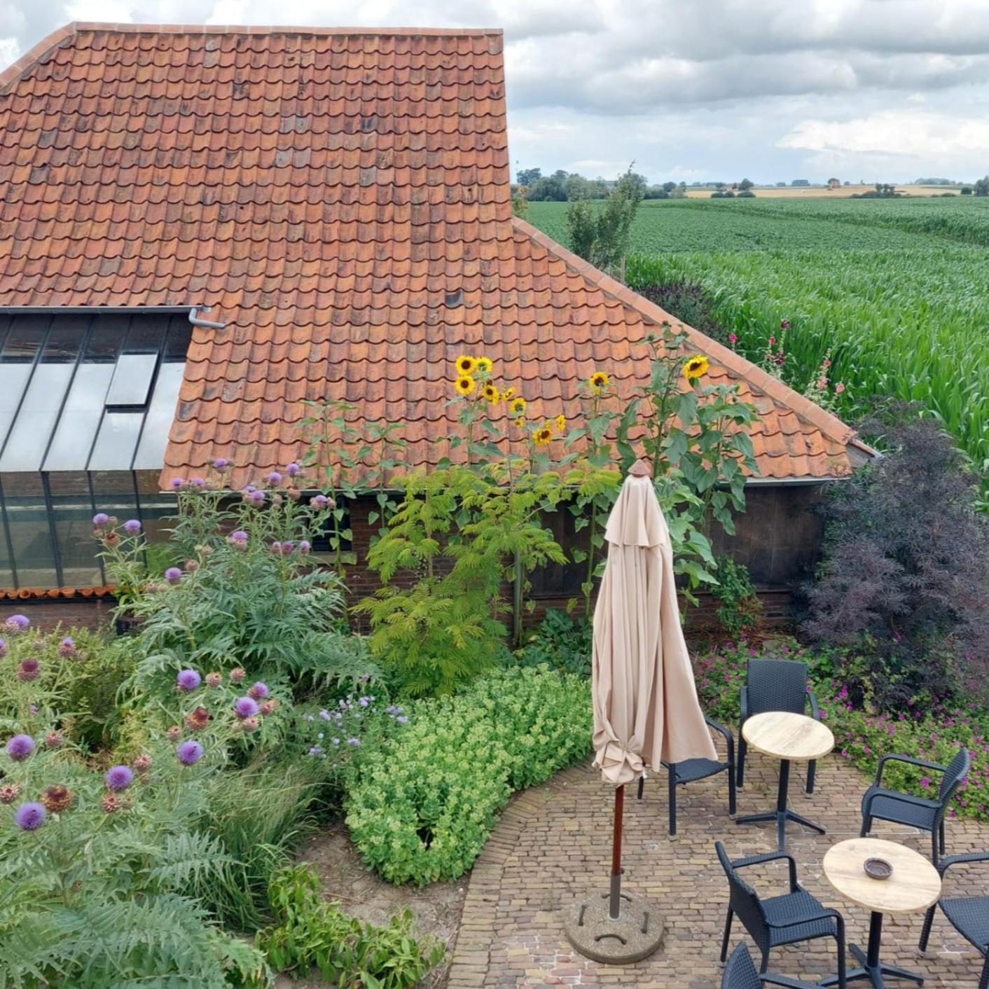 B&B Stefans Pottery Poperinge Exterior foto