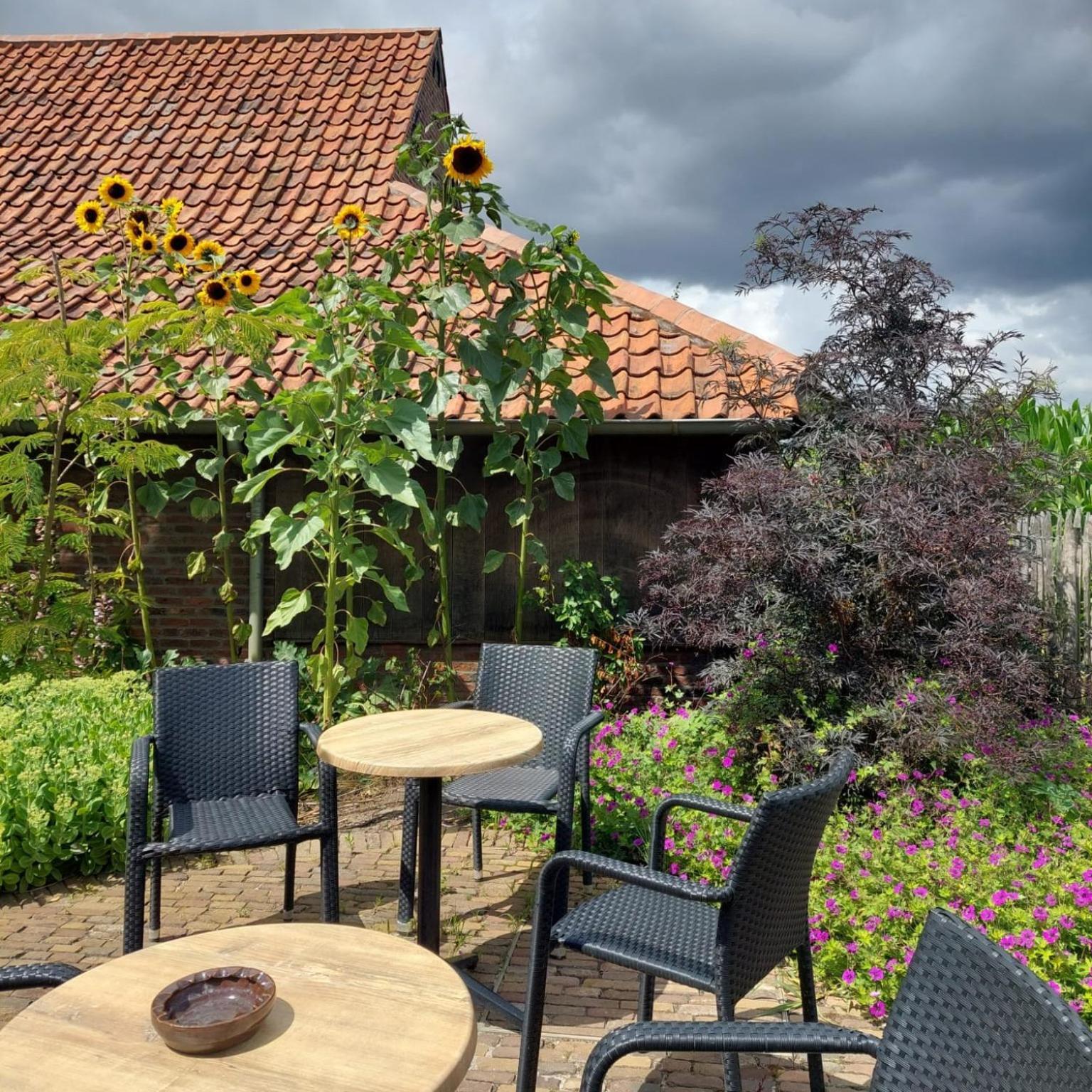 B&B Stefans Pottery Poperinge Exterior foto